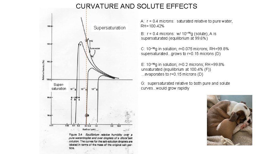 CURVATURE AND SOLUTE EFFECTS Supersaturation A: r = 0. 4 microns: saturated relative to