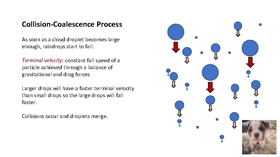 Collision-Coalescence Process As soon as a cloud droplet becomes large enough, raindrops start to