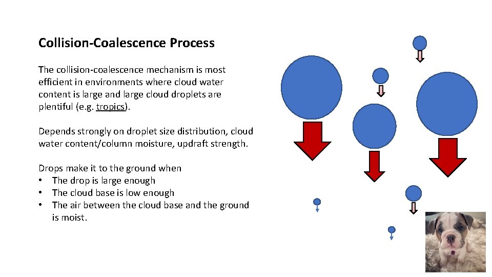 Collision-Coalescence Process The collision-coalescence mechanism is most efficient in environments where cloud water content