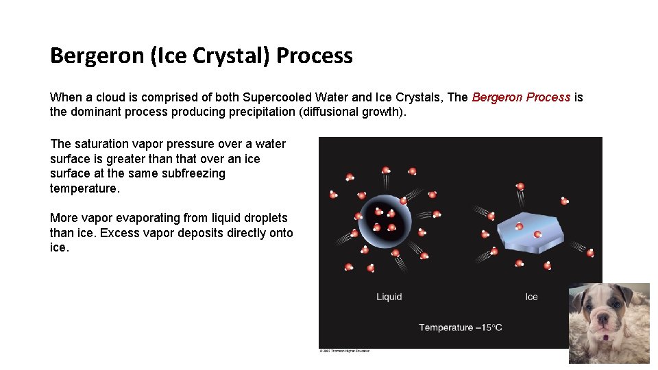 Bergeron (Ice Crystal) Process When a cloud is comprised of both Supercooled Water and