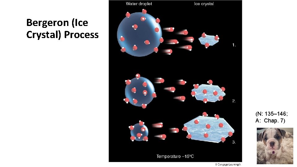 Bergeron (Ice Crystal) Process (N: 135– 146; A: Chap. 7) 