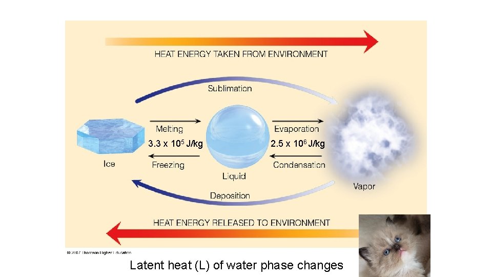 3. 3 x 105 J/kg 2. 5 x 106 J/kg Latent heat (L) of