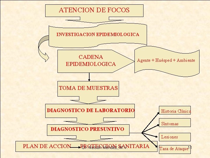ATENCION DE FOCOS INVESTIGACION EPIDEMIOLOGICA CADENA EPIDEMIOLOGICA Agente + Huésped + Ambiente TOMA DE