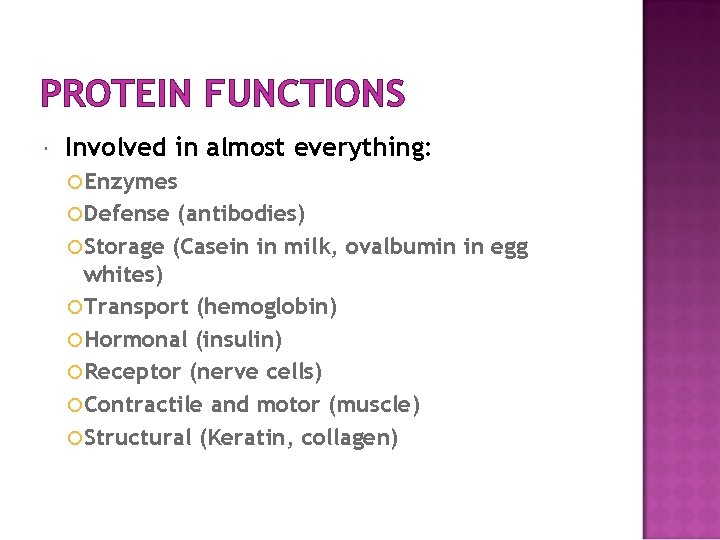 PROTEIN FUNCTIONS Involved in almost everything: Enzymes Defense (antibodies) Storage (Casein in milk, ovalbumin