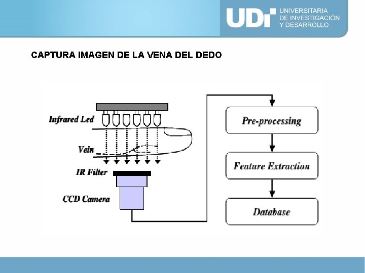 CAPTURA IMAGEN DE LA VENA DEL DEDO 