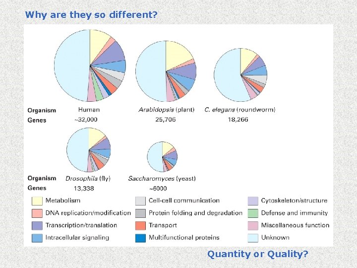 Why are they so different? Quantity or Quality? 