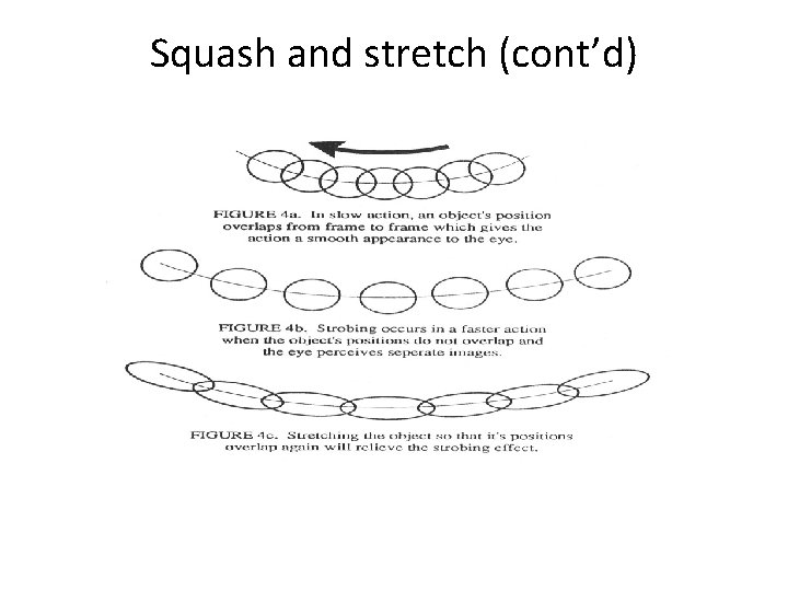 Squash and stretch (cont’d) 