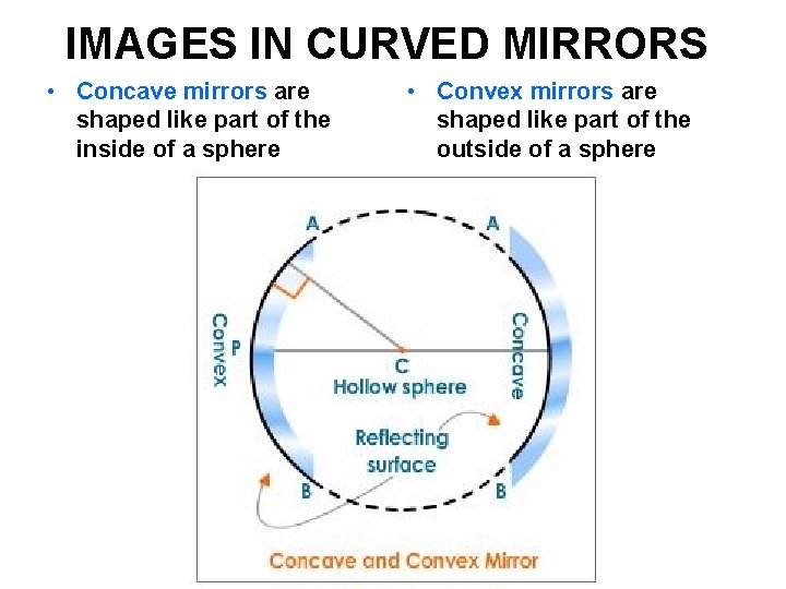 IMAGES IN CURVED MIRRORS • Concave mirrors are shaped like part of the inside