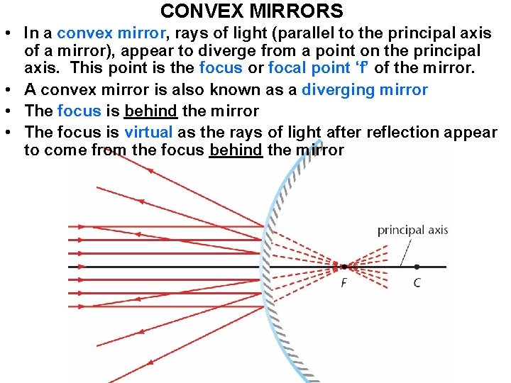 CONVEX MIRRORS • In a convex mirror, rays of light (parallel to the principal