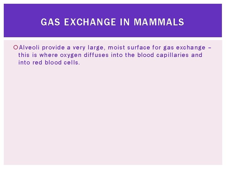 GAS EXCHANGE IN MAMMALS Alveoli provide a very large, moist surface for gas exchange