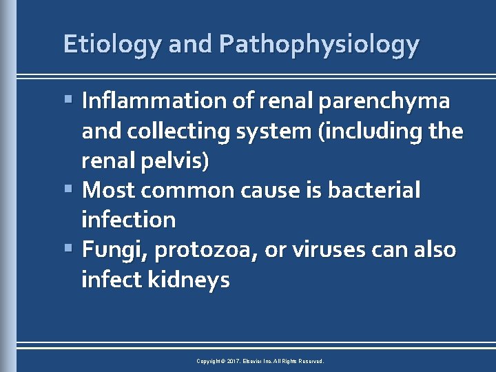 Etiology and Pathophysiology § Inflammation of renal parenchyma and collecting system (including the renal