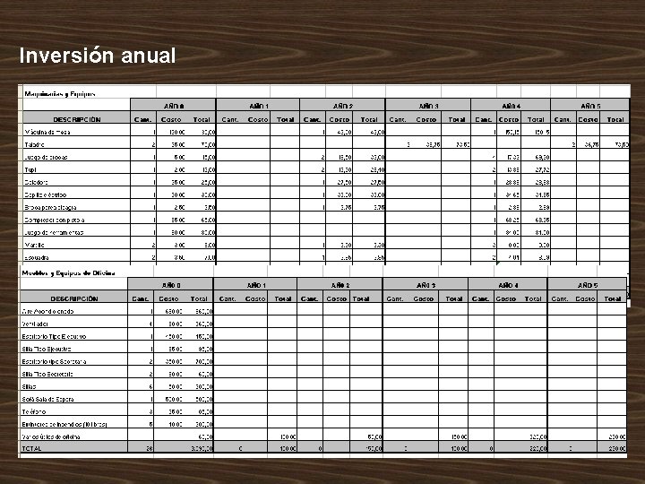 Inversión anual 