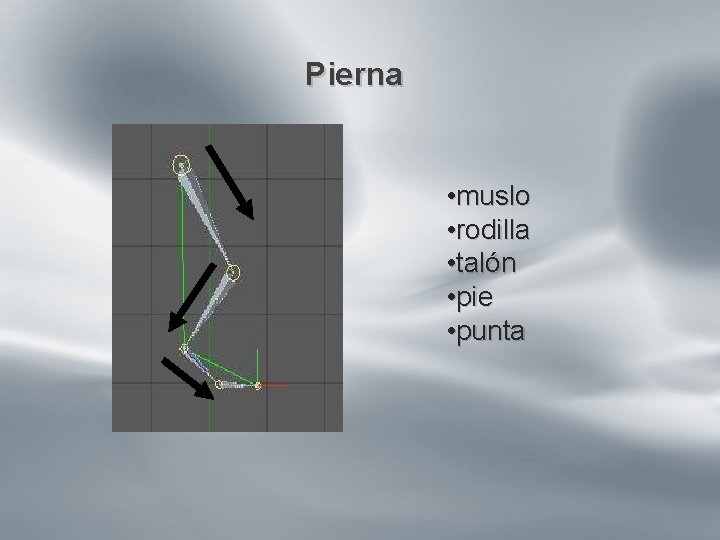 º Pierna • muslo • rodilla • talón • pie • punta º Pierna • muslo • rodilla • talón • pie • punta