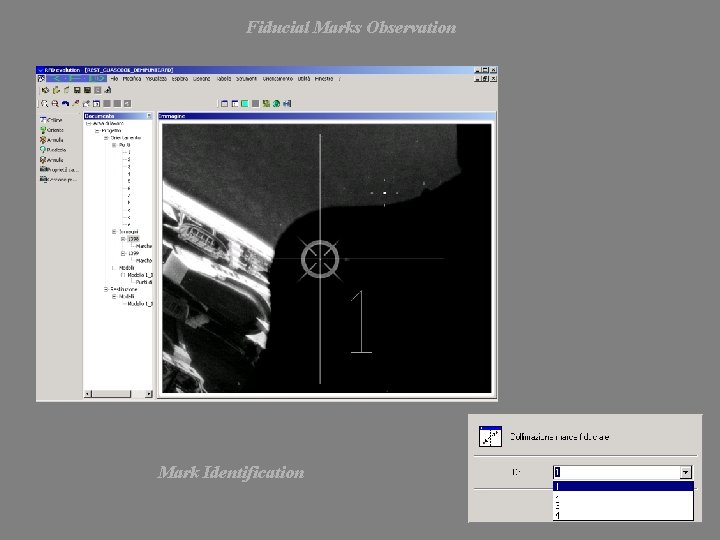 Fiducial Marks Observation Mark Identification 