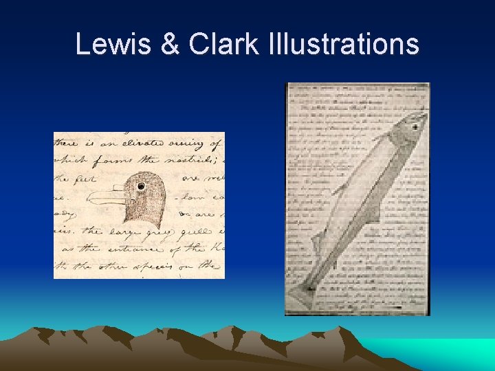 Lewis & Clark Illustrations 