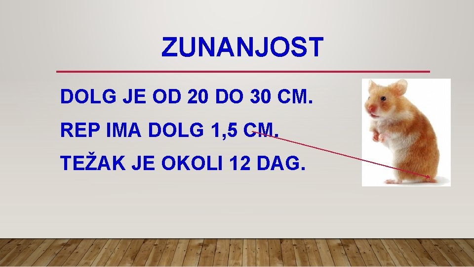 ZUNANJOST DOLG JE OD 20 DO 30 CM. REP IMA DOLG 1, 5 CM.