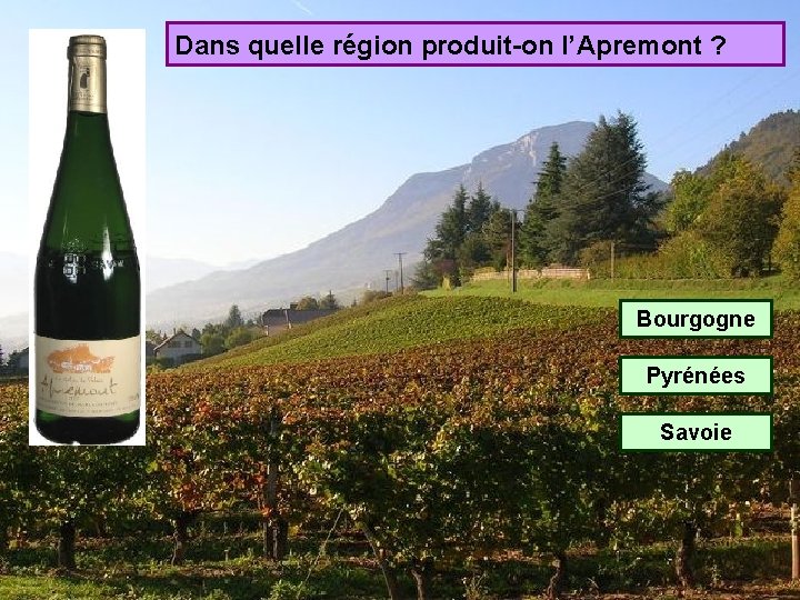 Dans quelle région produit-on l’Apremont ? Bourgogne Pyrénées Savoie 