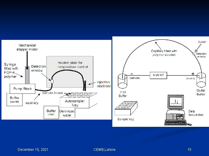 December 15, 2021 CEMB, Lahore 15 