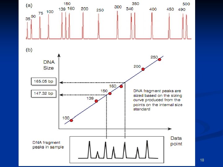 December 15, 2021 CEMB, Lahore 18 