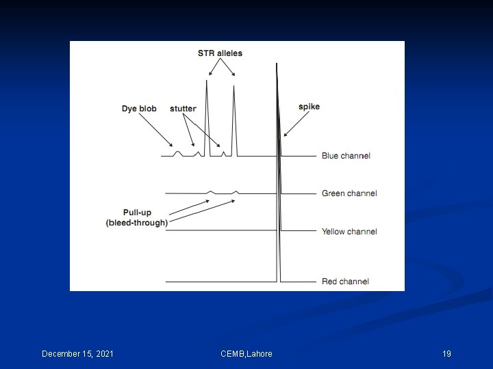 December 15, 2021 CEMB, Lahore 19 