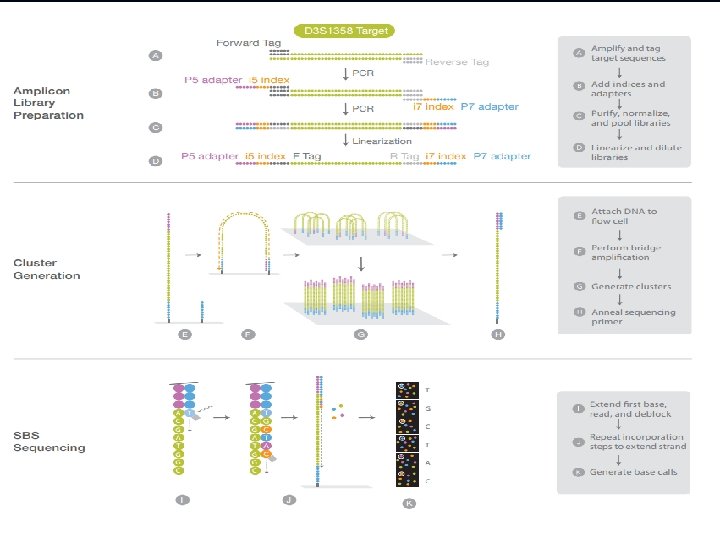 December 15, 2021 CEMB, Lahore 25 