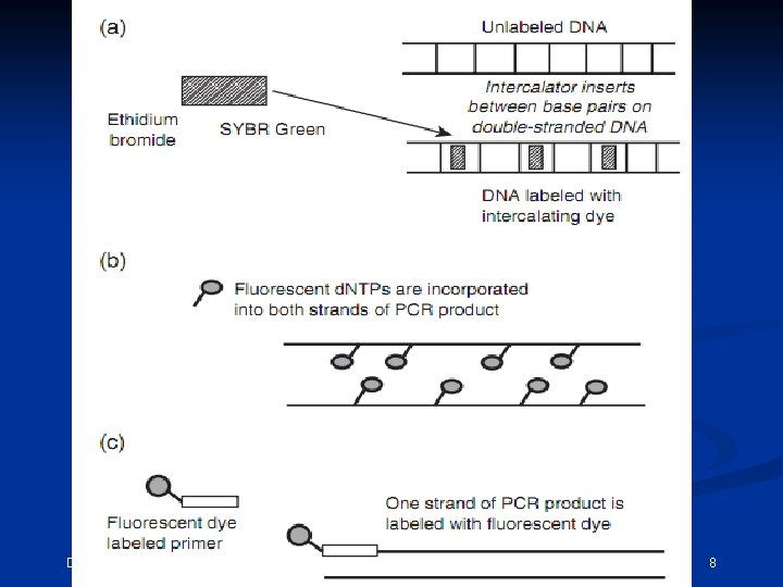 December 15, 2021 CEMB, Lahore 8 