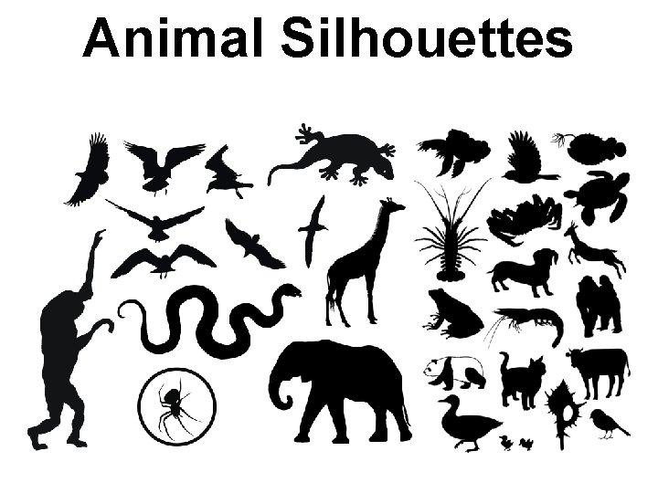 Animal Silhouettes 