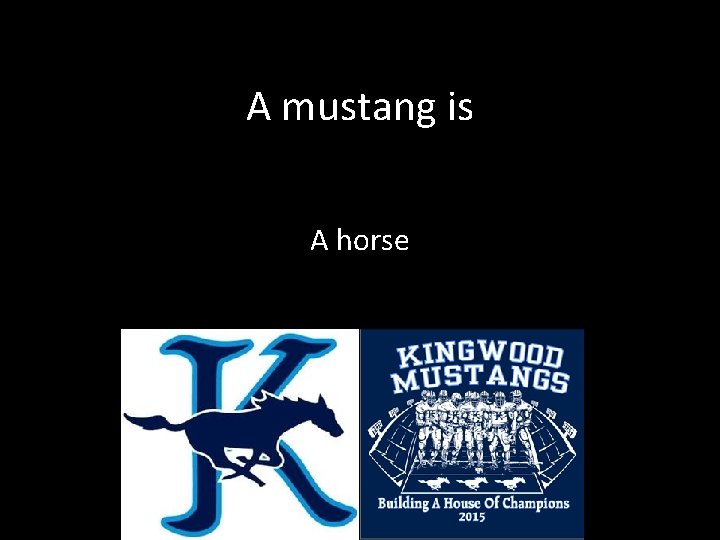 A mustang is A horse 