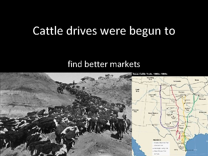 Cattle drives were begun to find better markets 
