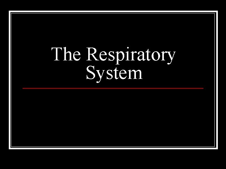 The Respiratory System 