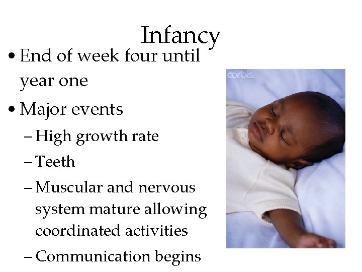 Infancy • End of week four until year one • Major events – High