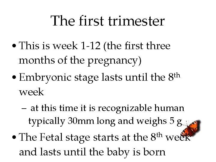 The first trimester • This is week 1 -12 (the first three months of