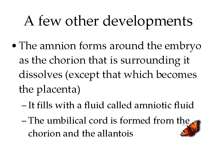 A few other developments • The amnion forms around the embryo as the chorion