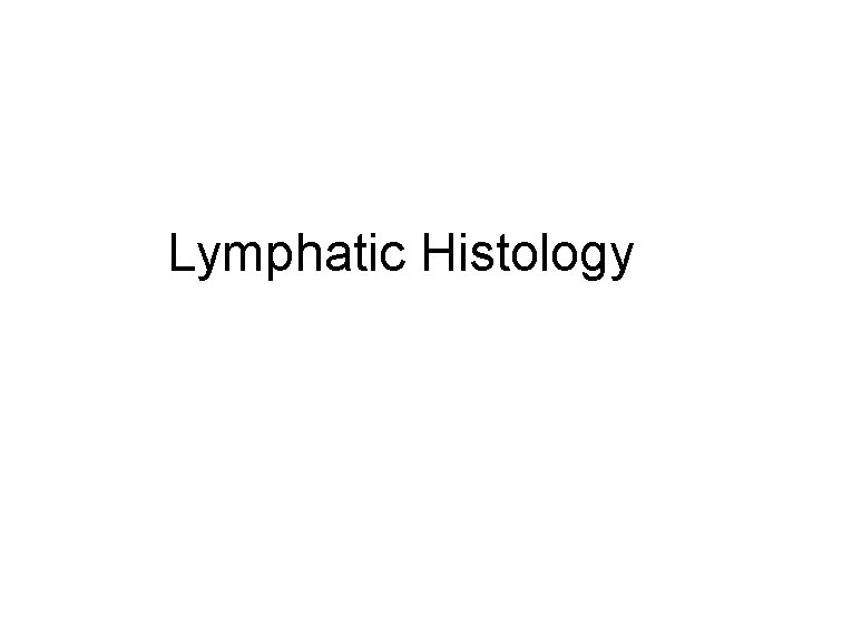 Lymphatic Histology 