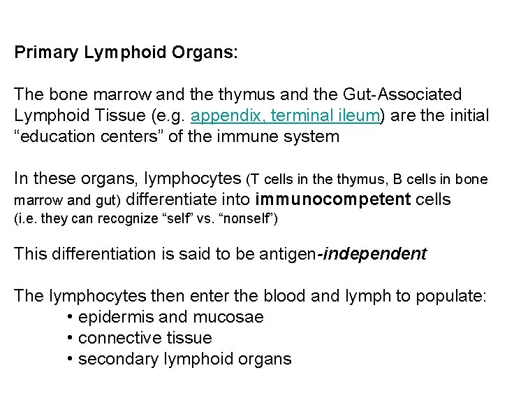 Primary Lymphoid Organs: The bone marrow and the thymus and the Gut-Associated Lymphoid Tissue