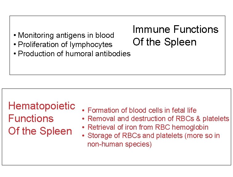  • Monitoring antigens in blood • Proliferation of lymphocytes • Production of humoral