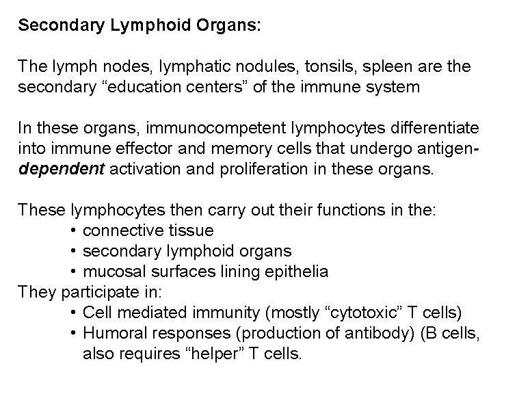 Secondary Lymphoid Organs: The lymph nodes, lymphatic nodules, tonsils, spleen are the secondary “education