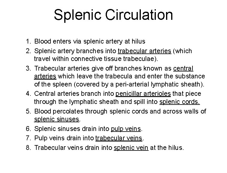 Splenic Circulation 1. Blood enters via splenic artery at hilus 2. Splenic artery branches