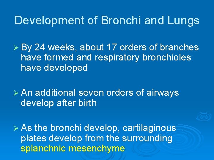 DEVELOPMENT OF LARYNX TRACHEA AND BRONCHI Dr Mujahid