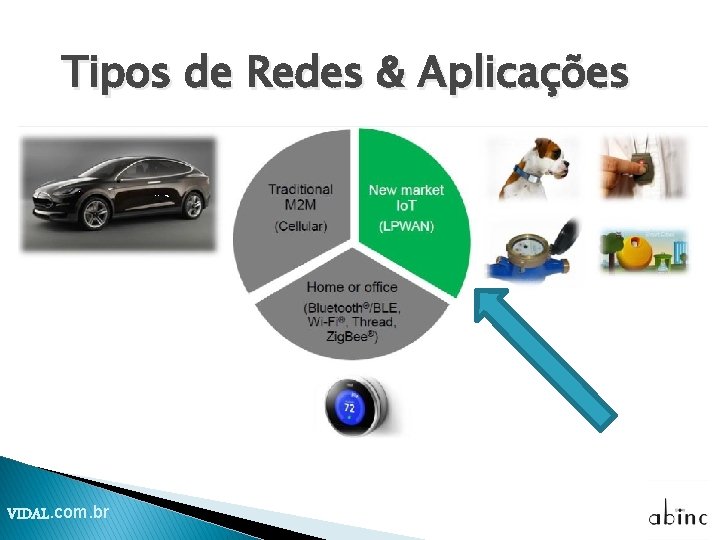 Tipos de Redes & Aplicações VIDAL. com. br 