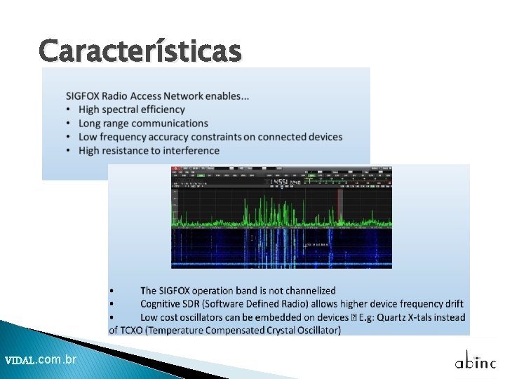 Características VIDAL. com. br 