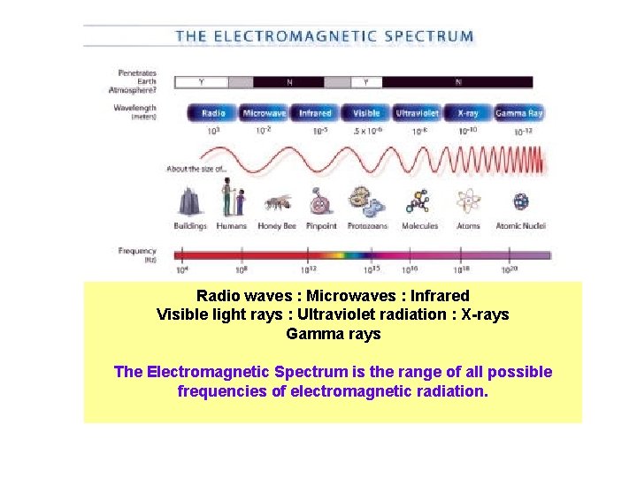 Electromagnetic Spectrum Radio waves : Microwaves : Infrared Visible light rays : Ultraviolet radiation