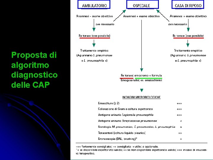 Proposta di algoritmo diagnostico delle CAP 