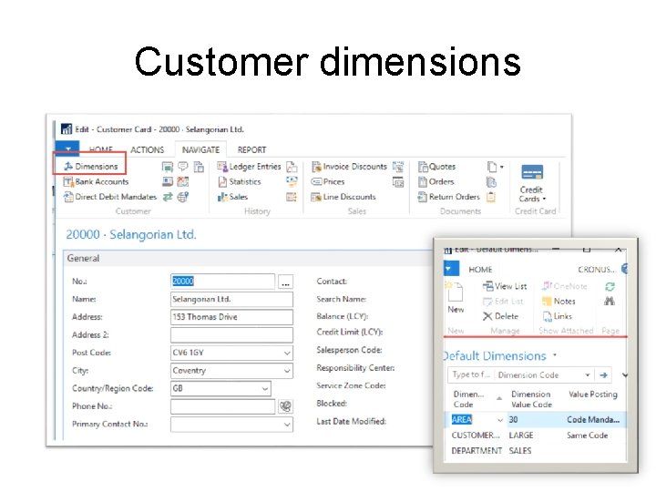Customer dimensions 