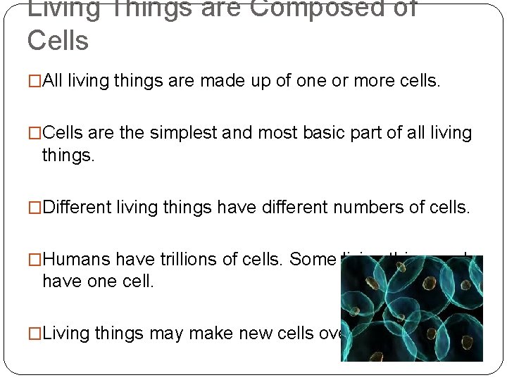 Living Things are Composed of Cells �All living things are made up of one