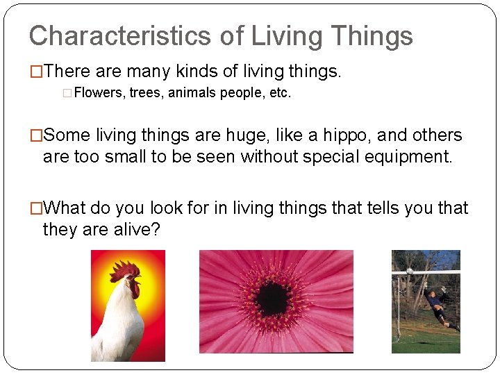 Characteristics of Living Things �There are many kinds of living things. �Flowers, trees, animals