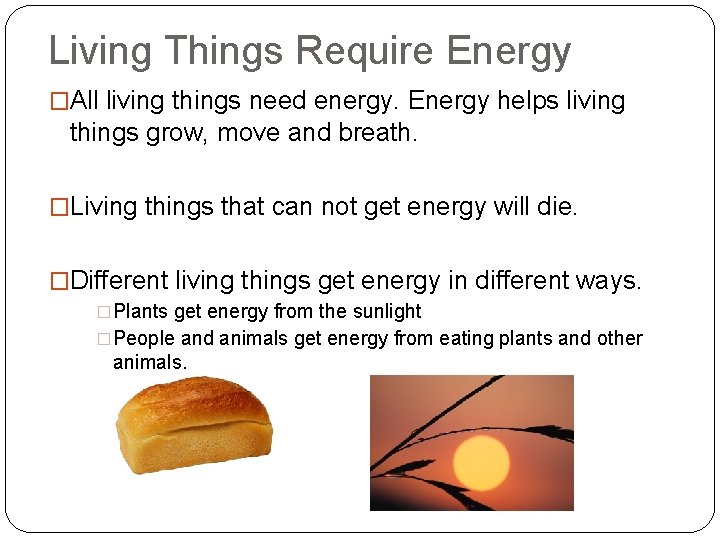 Living Things Require Energy �All living things need energy. Energy helps living things grow,