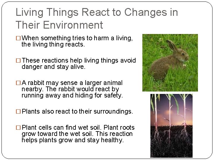 Living Things React to Changes in Their Environment � When something tries to harm