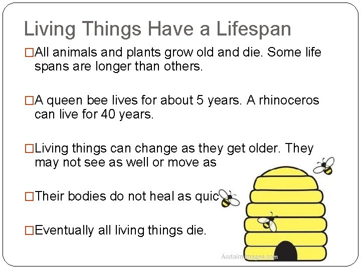 Living Things Have a Lifespan �All animals and plants grow old and die. Some