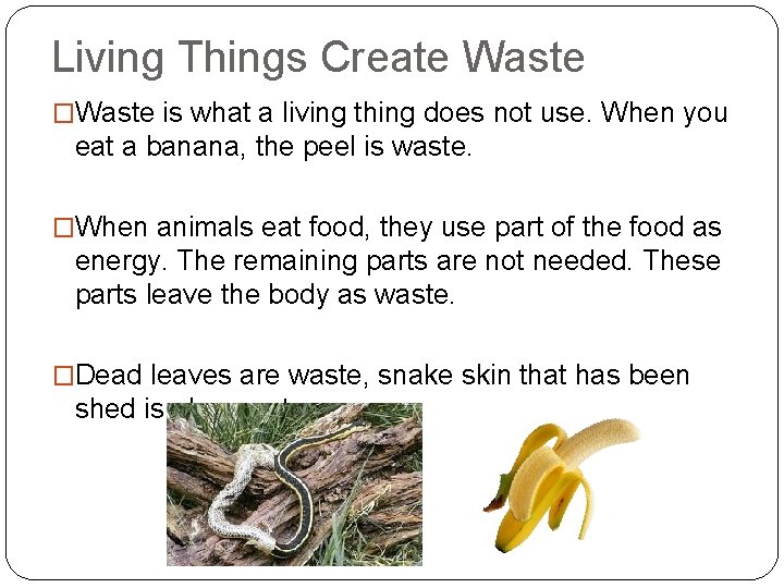 Living Things Create Waste �Waste is what a living thing does not use. When